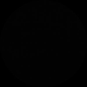 Meet your Posher, Daryl